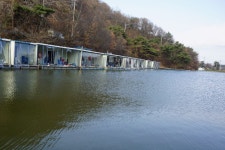 용인지곡낚시공원 유료낚시터 > ◐ 토종 1톤 방류 후기 ◐ : 낚시사랑