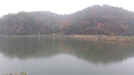 큰골낚시터 유료낚시터 > 주중 큰골 모습입니다. : 낚시사랑