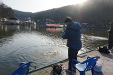 용인지곡낚시공원 유료낚시터 > ◐ 지곡지 긴급 공지 ◐ : 낚시사랑
