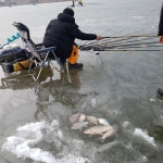 모란지 유료낚시터 > 마이제낚시터 : 낚시사랑