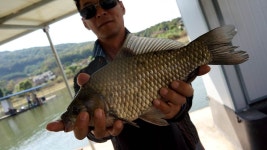 용설지 유료낚시터 > 2017년 대물헌터 Vol.7 붕어시즌 OFF : 낚시사랑