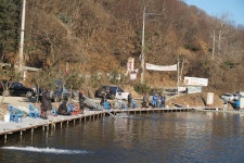 용인지곡낚시공원 유료낚시터 > ◐ 삼한사온 극복하기. ◐ : 낚시사랑