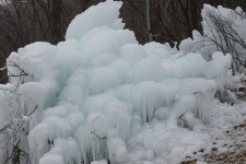용인지곡낚시공원 유료낚시터 > ◐ 삼한사온 극복하기. ◐ : 낚시사랑