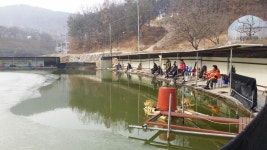 공주 큰목골낚시터 유료낚시터 > 공주 큰목골낚시터 1월2일 소식 : 낚시사랑