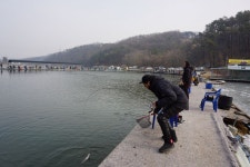 용인지곡낚시공원 유료낚시터 > ◐ 끄덕 없습니다. ◐ : 낚시사랑