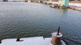 삼성지낚시터 유료낚시터 > 삼성낚시터 일부구간에 물낚시가능하고 팬션좌대부근 물낚시가능합니다 : 낚시사랑