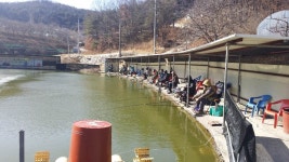 공주 큰목골낚시터 유료낚시터 > 공주 큰목골낚시터 2월19일 소식 : 낚시사랑
