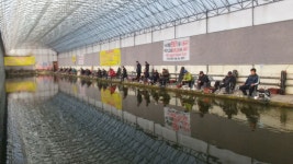 목현낚시터 유료낚시터 > 햇살이 따듯한 봄날씨입니다 : 낚시사랑