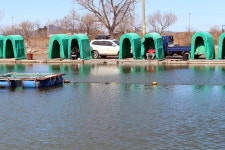 영종낚시터(구만정낚시터) 유료낚시터 > 3/6(화) 경칩이라 다시 시작?!^^* : 낚시사랑