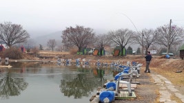 길상낚시터 유료낚시터 > #강화도길상낚시터 따듯한 오후 물낚시 조황 굿! : 낚시사랑