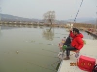 오빈낚시터 유료낚시터 > ***오빈낚시터*** 주말 조황정보 및 방류 소식 전합니다 : 낚시사랑