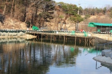 여주낚시터. 유료낚시터 > 여주낚시터 진행상황 : 낚시사랑