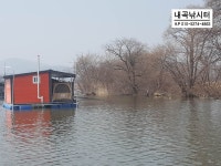 내곡지 유료낚시터 > 봄마실 나온 붕어들 보세요^^ : 낚시사랑