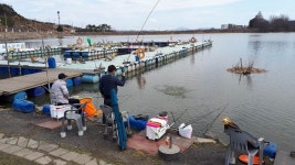 길상낚시터 유료낚시터 > 강화도 길상낚시터 조황 안내 : 낚시사랑