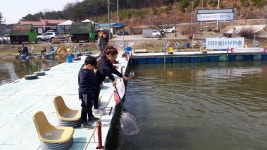길상낚시터 유료낚시터 > 강화도 길상낚시터 조황 안내 : 낚시사랑