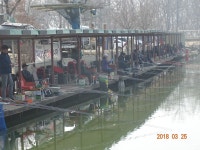 오빈낚시터 유료낚시터 > ***오빈낚시터*** 주말 조황정보 및 방류 소식 전합니다 : 낚시사랑