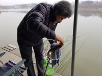 중부낚시터 유료낚시터 > 중부낚시터(성미지) 주말 및 주중 조황정보 : 낚시사랑