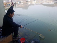 안성 거청낚시터 유료낚시터 > 3월 28 일 안성 거청낚시터 붕어조황 : 낚시사랑 안성 거청낚시터 유료낚시터 > 3월  28 일  안성  거청낚시터... 