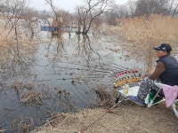 내곡지 유료낚시터 > 주말 및 주중 내곡낚시터 조황 : 낚시사랑