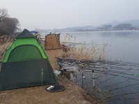 내곡지 유료낚시터 > 주말 및 주중 내곡낚시터 조황 : 낚시사랑