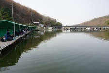 용인지곡낚시공원 유료낚시터 > ◐ 4짜 붕어와 개장 날 소식 ◐ : 낚시사랑