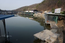 용인지곡낚시공원 유료낚시터 > ◐ 4짜 붕어와 개장 날 소식 ◐ : 낚시사랑