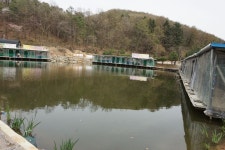 용인지곡낚시공원 유료낚시터 > ◐ 어째 또 이런 일이. ◐ : 낚시사랑