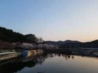 금광호수낚시터 유료낚시터 > ♧금광호수낚시터 영업공지♧ : 낚시사랑