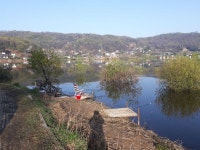 두창낚시터 유료낚시터 > 산란 후유증~~~~ : 낚시사랑
