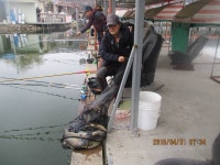 가산낚시터 유료낚시터 > 가산 소식 : 낚시사랑