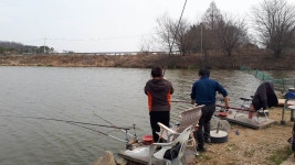 길상낚시터 유료낚시터 > 길상낚시터 3월 마지막 주말~ : 낚시사랑