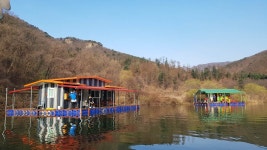 중리테마파크낚시터 유료낚시터 > 4월 첫주 조항입니다. : 낚시사랑