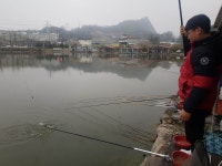 안성 거청낚시터 유료낚시터 > 4 월 15 일 안성 거청낚시터 붕어조황 : 낚시사랑