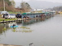 중부낚시터 유료낚시터 > 중부낚시터(성미지) 주말 및 주중 조황정보 : 낚시사랑