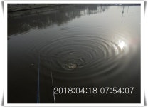 관리낚시터 유료낚시터 > 도심속의 작은 쉼터 관리낚시터 : 낚시사랑