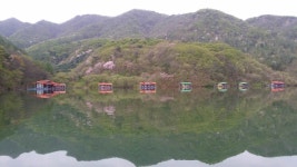 중리테마파크낚시터 유료낚시터 > 4월 셋째주 조항입니다. : 낚시사랑