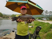 조일낚시터 유료낚시터 > [조일낚시터]조황소식. : 낚시사랑