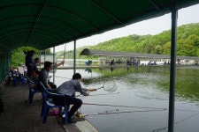 용인지곡낚시공원 유료낚시터 > ◐ 다시 한 번 시도합니다. ◐ : 낚시사랑