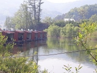 두창낚시터 유료낚시터 > ~~역시 붕어의고향 두창낚시터^^ : 낚시사랑