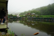 용인지곡낚시공원 유료낚시터 > ◐ 초보 탈출 후기 ◐ : 낚시사랑