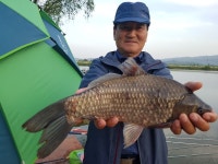 돌성저수지 유료낚시터 > 돌성 낚시터 5월 23일 밤낚시 및 24일 낮낚시 조황보고 : 낚시사랑
