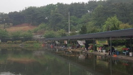 우금낚시공원 유료낚시터 > 활성도가 아주좋습니다. : 낚시사랑