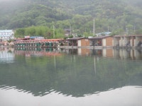 가산낚시터 유료낚시터 > 가산소식 : 낚시사랑