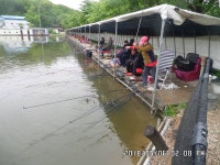 당골낚시터 유료낚시터 > ~~~조황정보~~~ : 낚시사랑