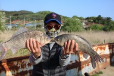 내동지 유료낚시터 > “4짜 200번째 조사님이 나왔습니다.” : 낚시사랑