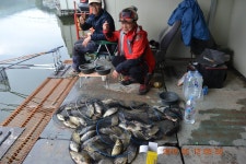 고담낚시터 유료낚시터 > 가입인사 드립니다 : 낚시사랑