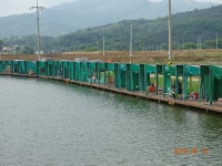 오빈낚시터 유료낚시터 > ***오빈낚시터*** 주말 조황정보 및 방류 소식 전합니다 : 낚시사랑