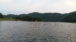 우목낚시터 유료낚시터 > 우목낚시터.조항올려봅니다 : 낚시사랑