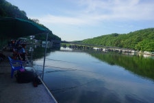 용인지곡낚시공원 유료낚시터 > ◐ 새로운 이벤트 추가 ◐ : 낚시사랑