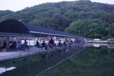 용인지곡낚시공원 유료낚시터 > ◐ 지곡지 긴급 공지 ◐ : 낚시사랑